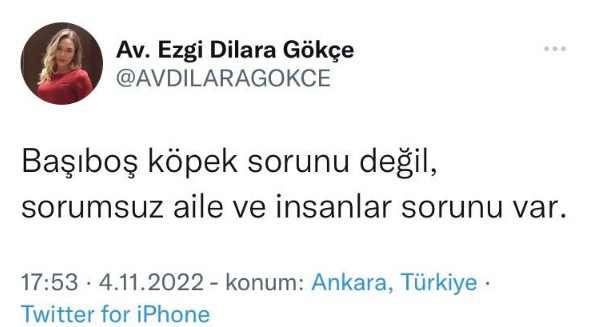 İYİ Parti'li isimden tepki çeken paylaşım: Kuduz olan çocuğun ailesini suçladı